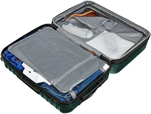 Amazonbasics Premium Hardside Spinner Luggage With Built-In Tsa Lock - 24-Inch, Green