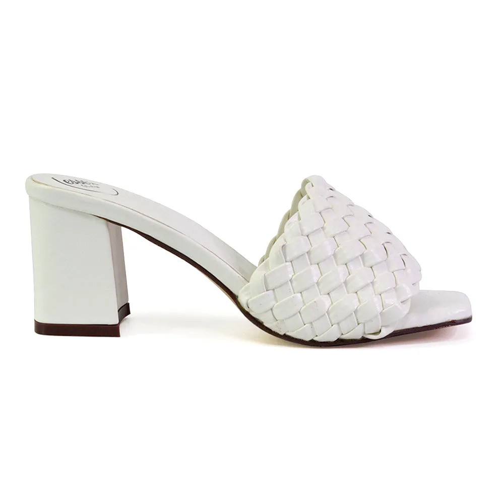 Aries Slip On Low Block Heel Sandals Square Toe Woven Mules In Green