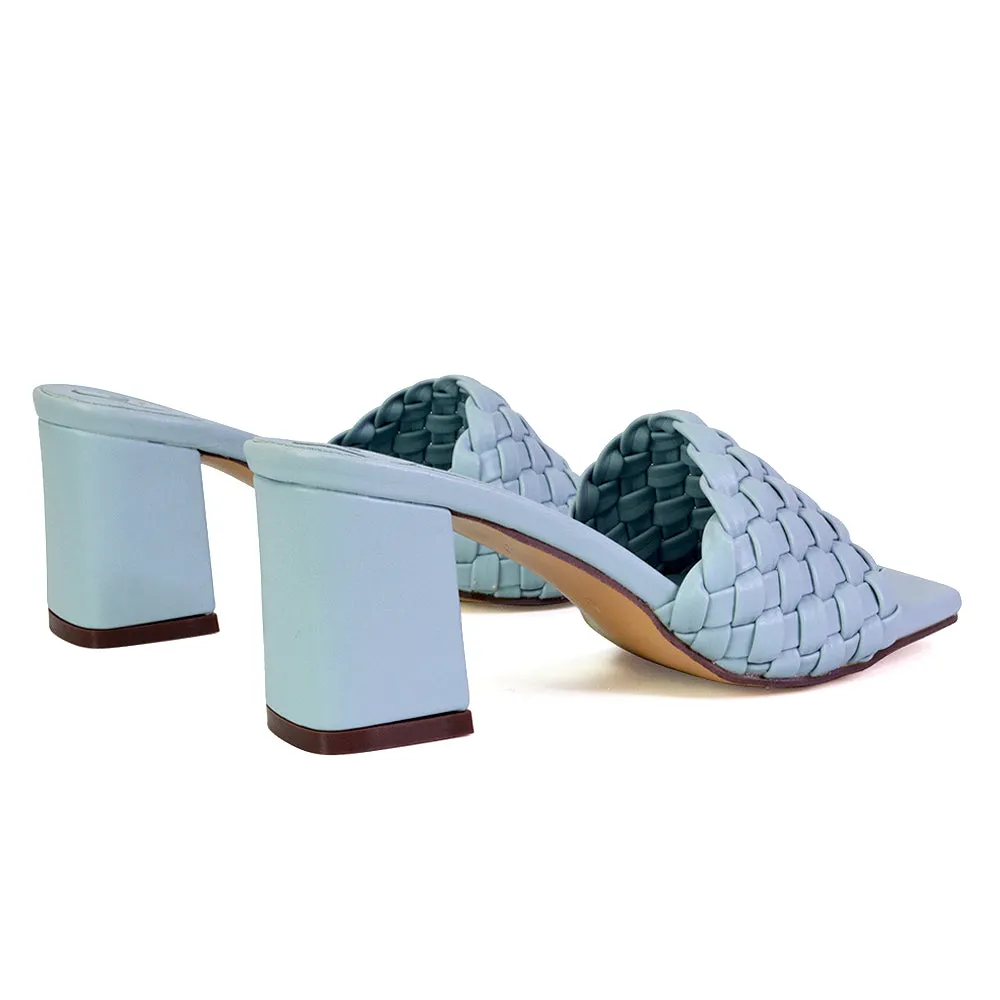 Aries Slip On Low Block Heel Sandals Square Toe Woven Mules In Green