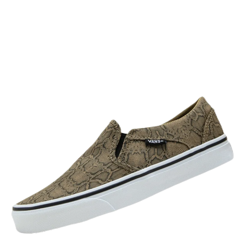 Asher Patterned