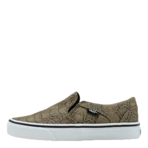 Asher Patterned