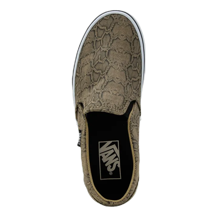 Asher Patterned
