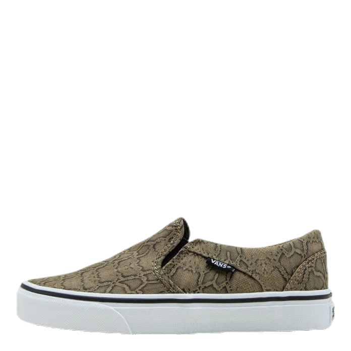 Asher Patterned
