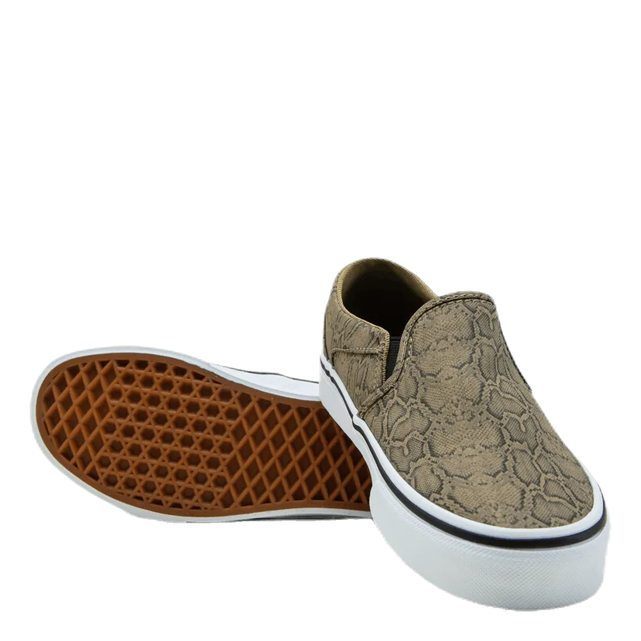 Asher Patterned
