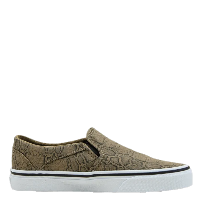 Asher Patterned