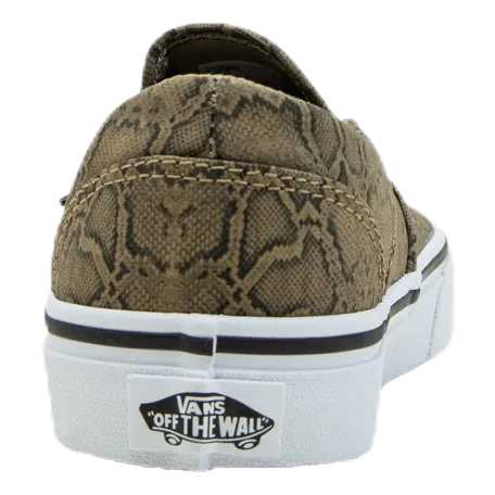 Asher Patterned